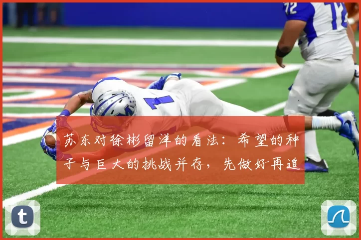 苏东对徐彬留洋的看法：希望的种子与巨大的挑战并存，先做好再追求完美